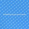 Camino o Stufa: Calore in Casa!