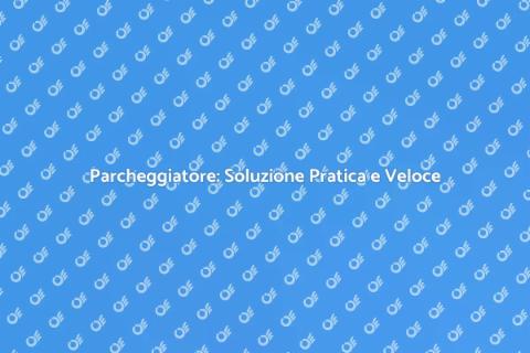 Servizio Parcheggiatore: Stress Free