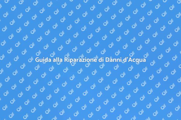 Riparazioni Efficaci per Danni d'Acqua