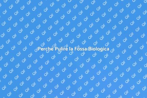 Pulizia Fossa Biologica: Perché è Cruciale