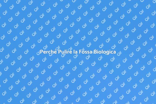 Manutenzione Fossa Biologica Essenziale