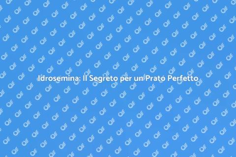 Idrosemina: Rinnova il Tuo Giardino