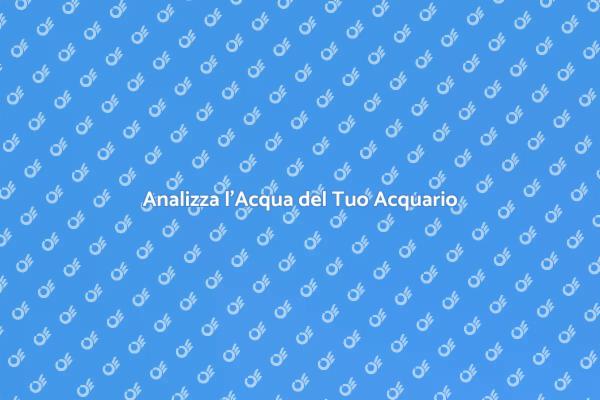 Mantieni Sano il Tuo Acquario