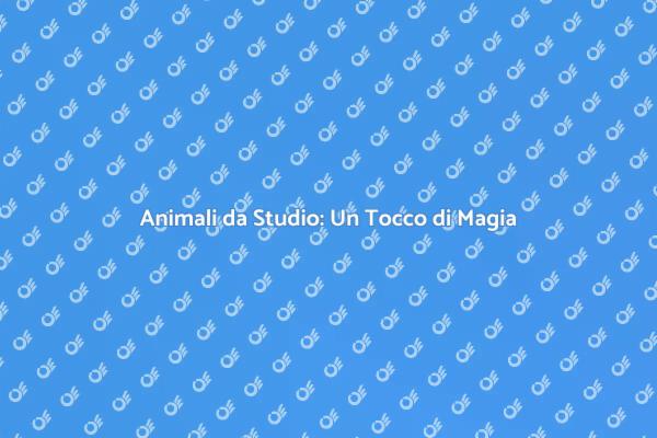 Un'Idea Creativa per il Tuo Evento