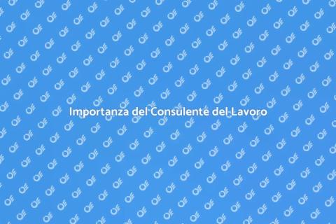 Consulente del Lavoro: Guida Essenziale