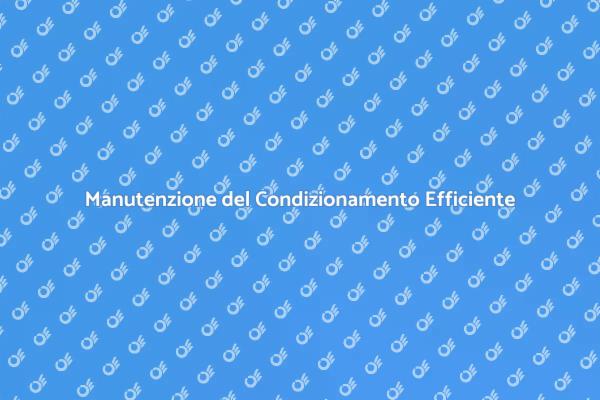Guida alla Manutenzione del Condizionamento