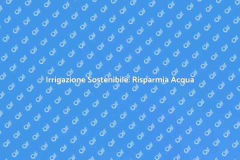 Sistema Irrigazione Efficiente e Sostenibile