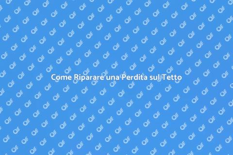 Riparare una Perdita sul Tetto