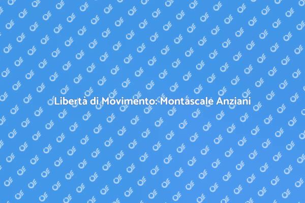 Montascale: Soluzione per Anziani