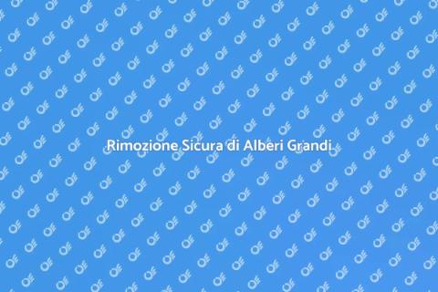 Abbattimento Alberi Grandi: Guida Pratica