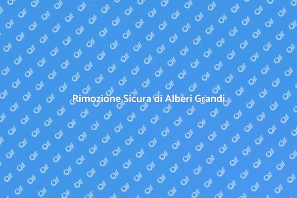 Abbattimento Sicuro di Alberi Grandi