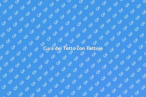 Manutenzione Tetto con Tettoie
