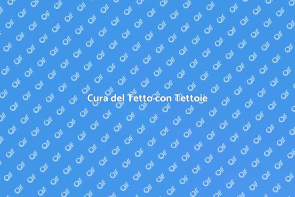 Manutenzione del Tetto: Consigli Utili