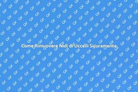 Rimuovere Nido di Uccelli: Guida Pratica