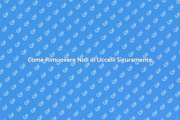 Rimozione Sicura dei Nidi di Uccelli