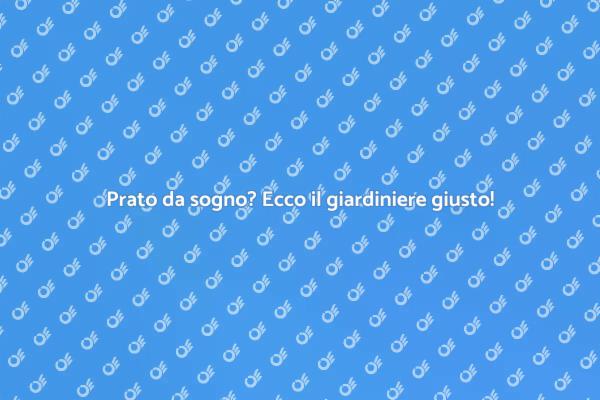 Il giardiniere per il tuo prato da sogno