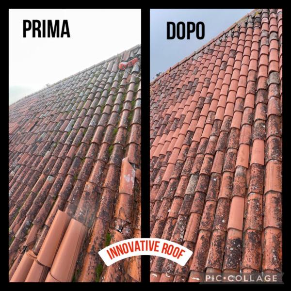 Innovative Roof di Popinciuc Daniel - Foto 4