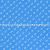 Come Irrigare Efficientemente le Piante