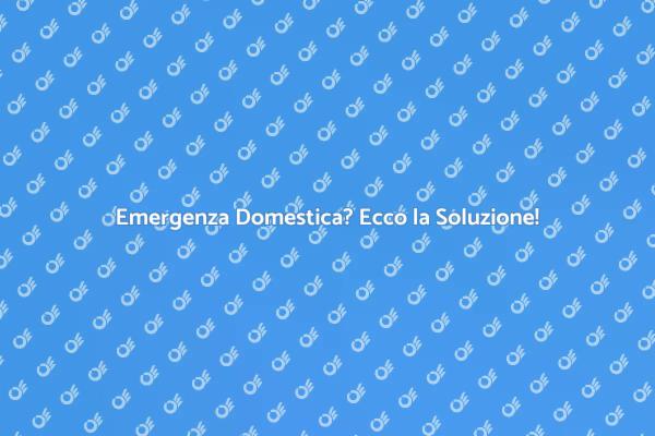Soluzioni Veloci per Emergenze Domestiche
