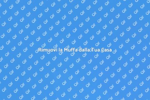 Ispezione e Bonifica Muffa Casa