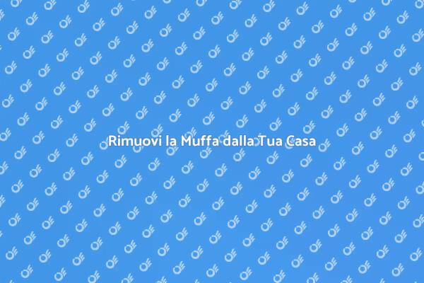 Proteggi la Tua Casa dalla Muffa