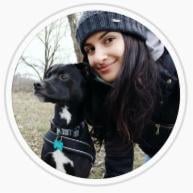Dog Sitter Sange - Foto 1