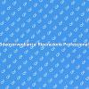 Videosorveglianza: Sicurezza e Riparazione