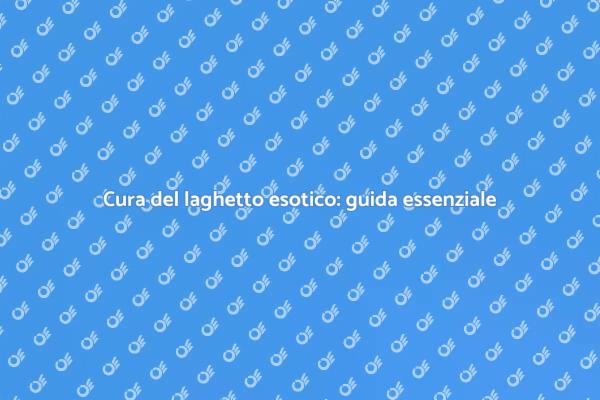 Manutenzione del laghetto: segreti e consigli