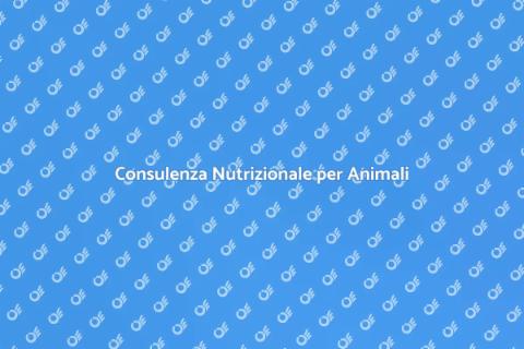 Nutrizionista per Animali Domestici