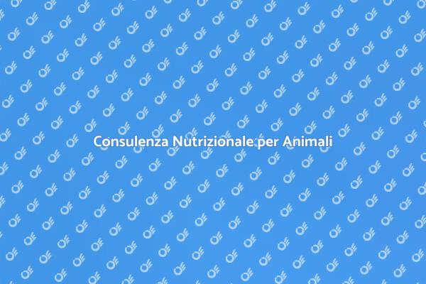 Nutrizione Adeguata per i Tuoi Animali