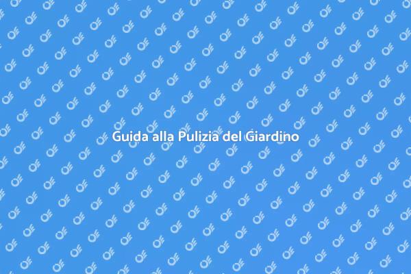 Trasforma il Tuo Giardino Oggi