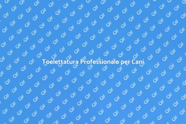 Cura e Toelettatura del Tuo Cane