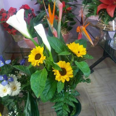 Dillo con un fiore srl - Foto 3