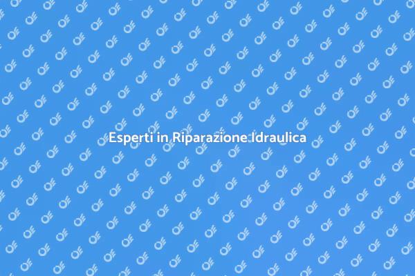 Servizi di Riparazione Idraulica