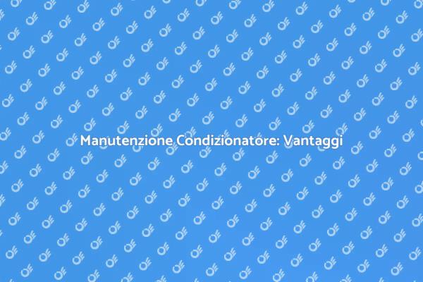 Perché Revisare il Condizionatore?