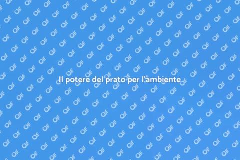 Prato e benessere ambientale
