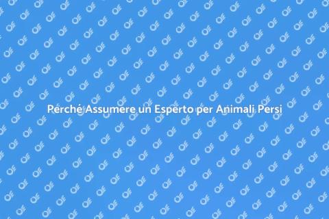 Assumere un Esperto per Animali Persi