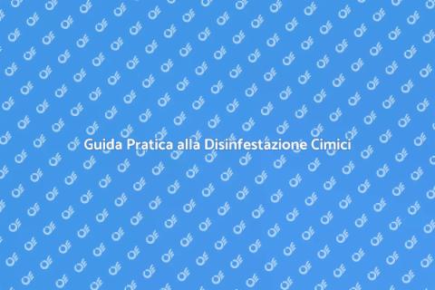 Disinfestazione dalle Cimici Efficace