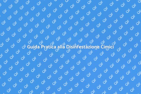Liberati delle Cimici in Casa