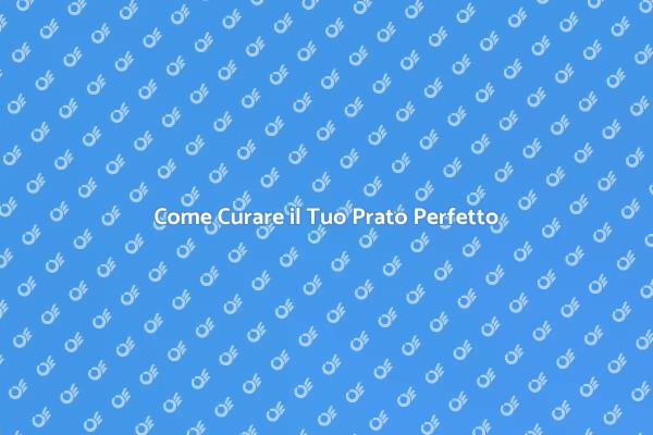 Cura del Prato: Consigli Utili