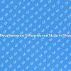 Calore e Innovazione: Stufe in Ghisa