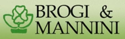 Azienda Florivivaistica Mannini & Brogi  - Foto 1