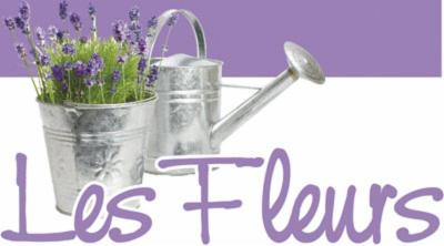 Les Fleurs - Negozio di Fiori e Piante di Richaud Monica Anna  - Foto 2