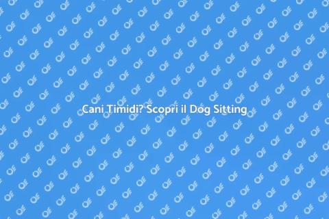 Dog Sitting per Cani Diffidenti