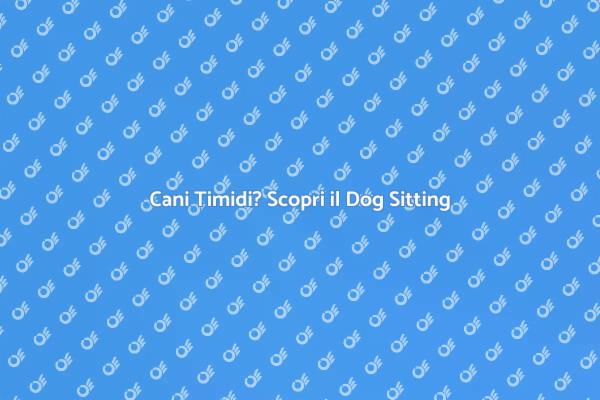 Dog Sitting: Aiuta i Cani Diffidenti