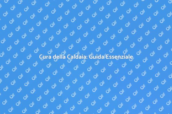 Manutenzione Caldaia: Comfort e Sicurezza