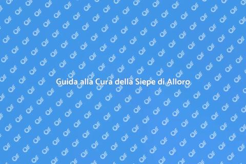 Manutenzione Siepe di Alloro di Montagna