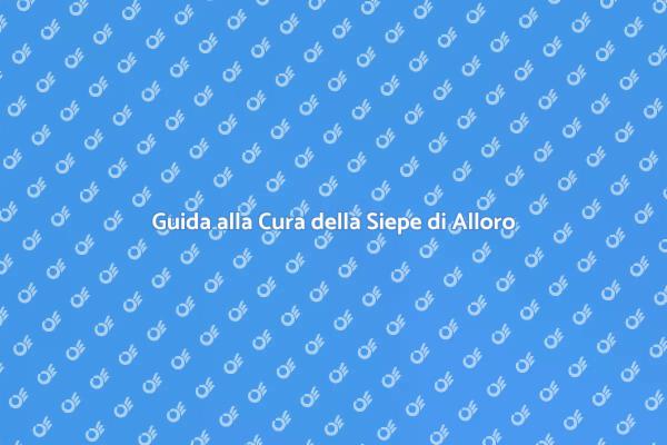 Manutenzione della Siepe di Alloro