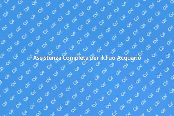 Cura e Assistenza per il Tuo Acquario