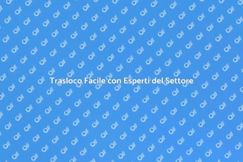 Servizio di Trasporto Professionale